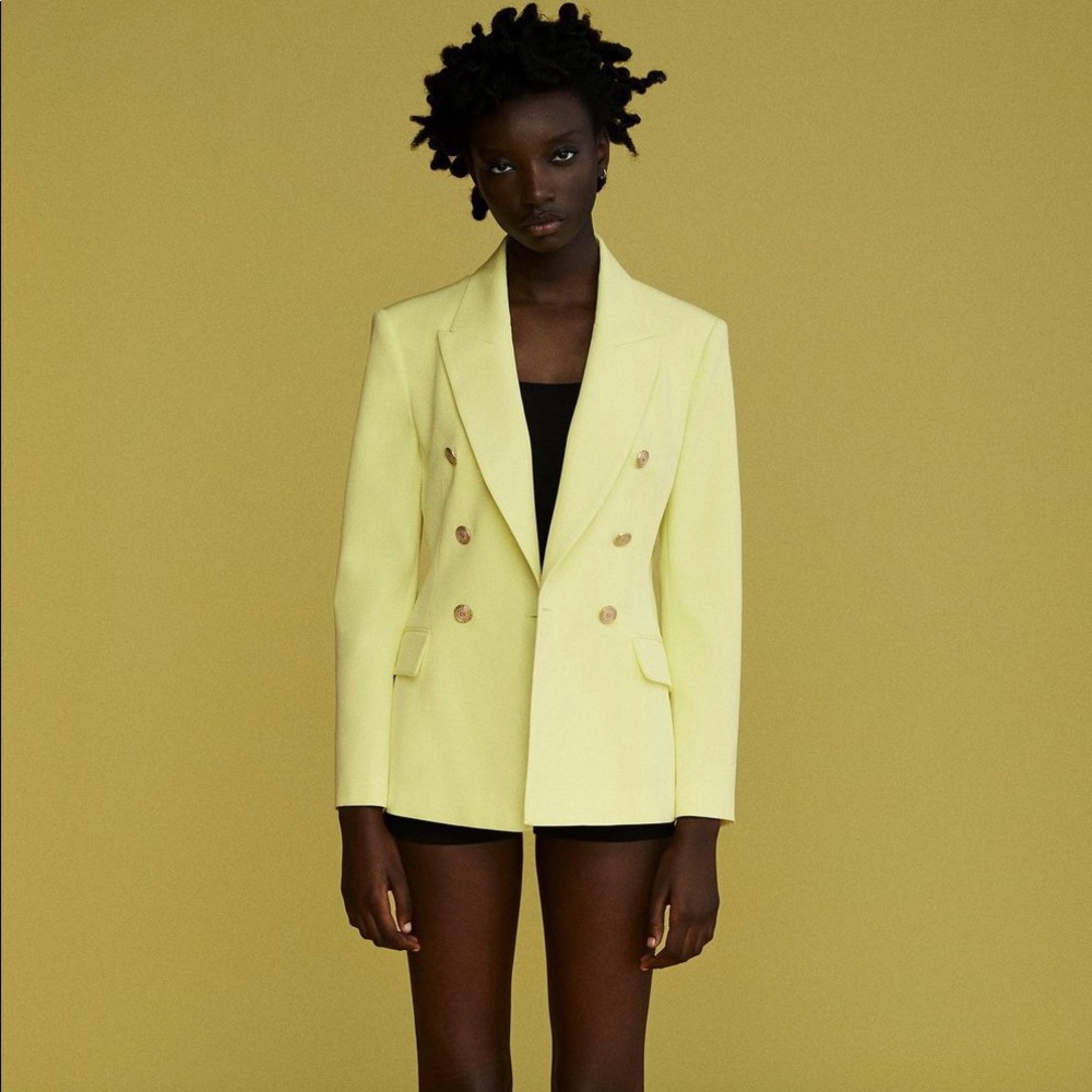 ZARA TAILORED DOUBLE BREASTED BLAZER NWT